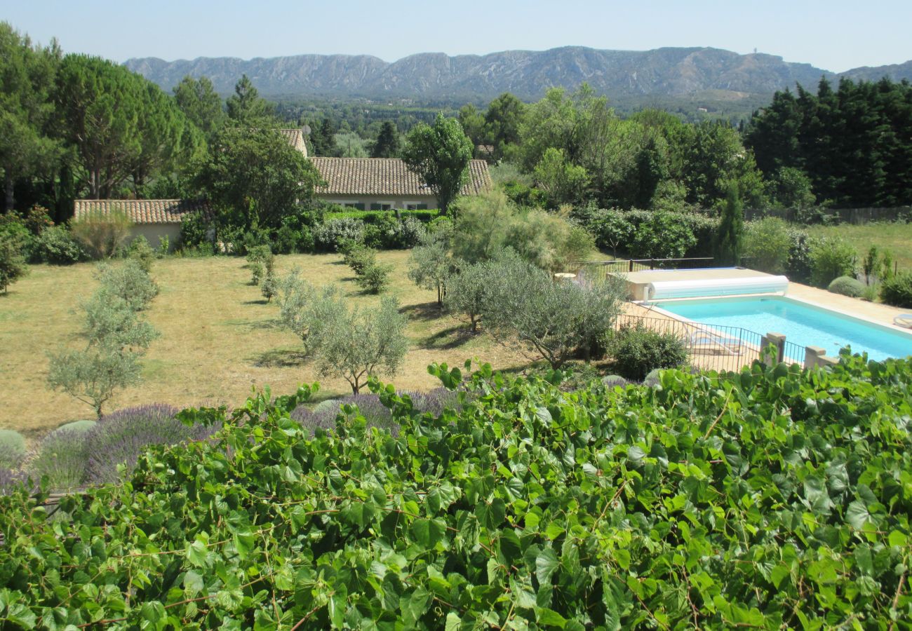 Villa in Saint Remy de Provence - Vacation rental SAINT REMY DE PROVENCE LS1-196