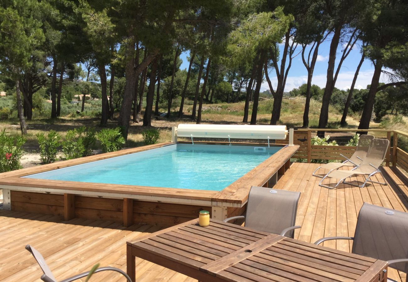 House in Maussane-les-Alpilles - Vacation rental house with pool VILLE LS1-314