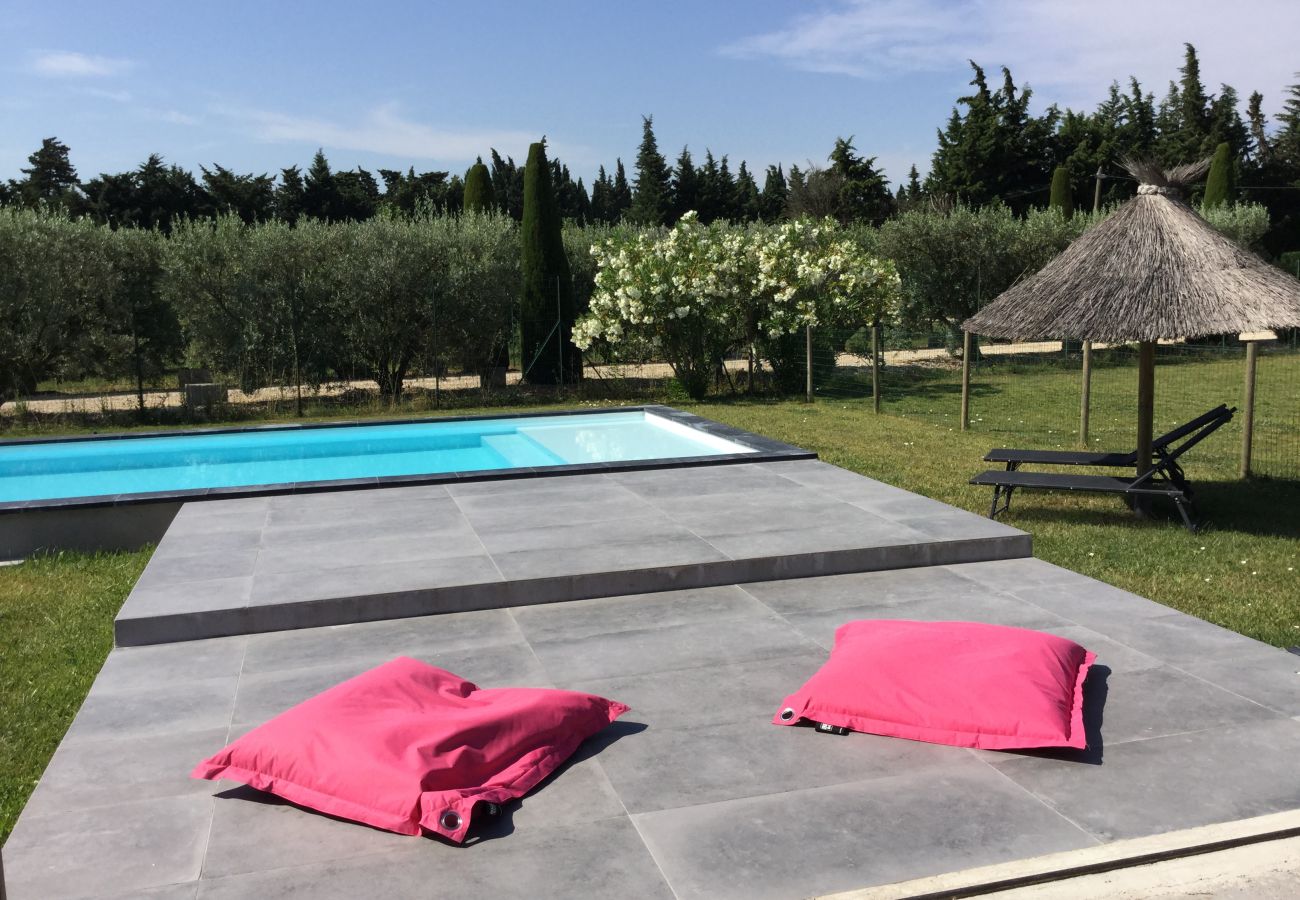 Villa in Barbentane - Vacation rental  with pool BARBENTANE LS6-255 