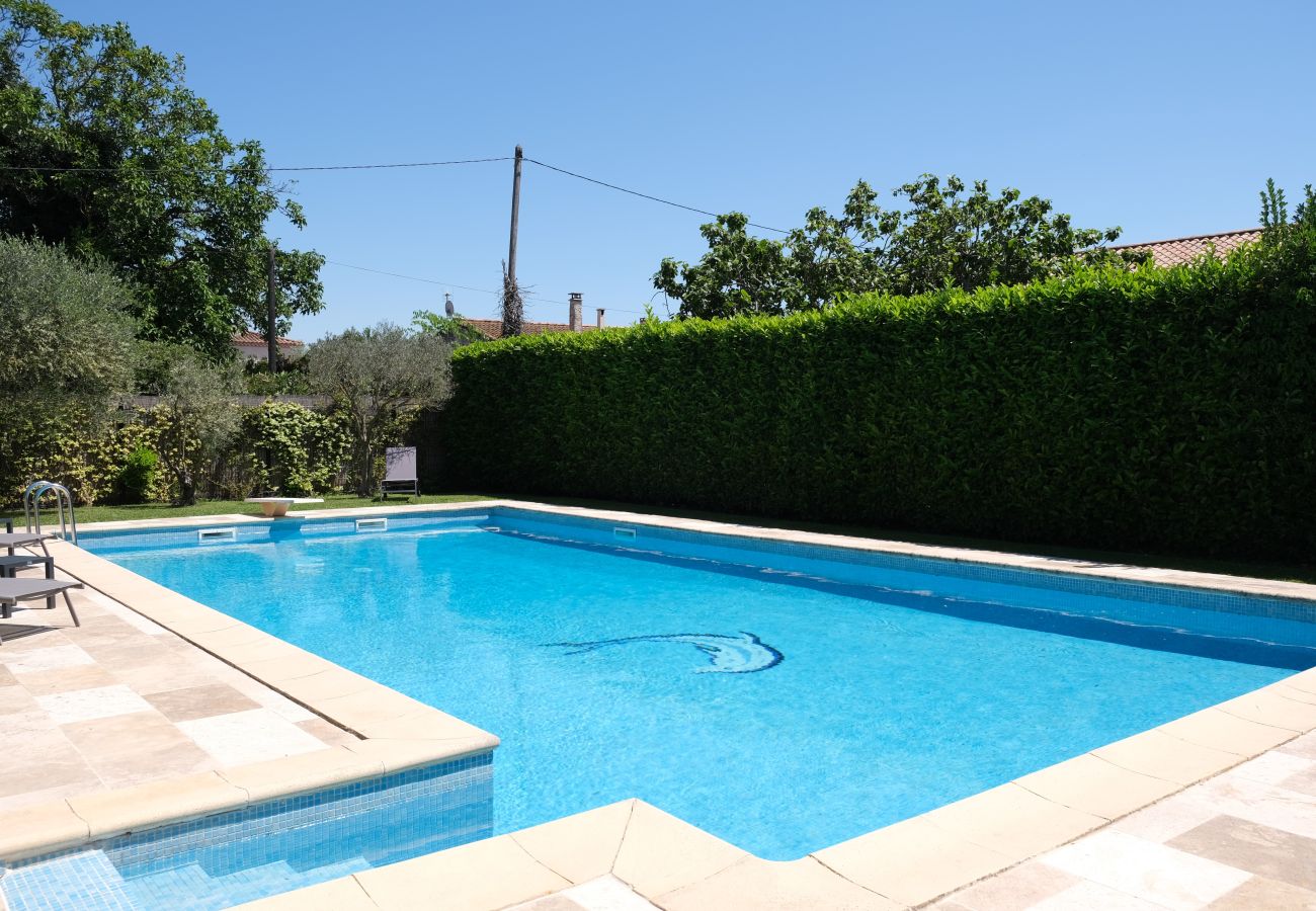 Villa in Arles - Vacation rental house with pool MOULES LS3-388