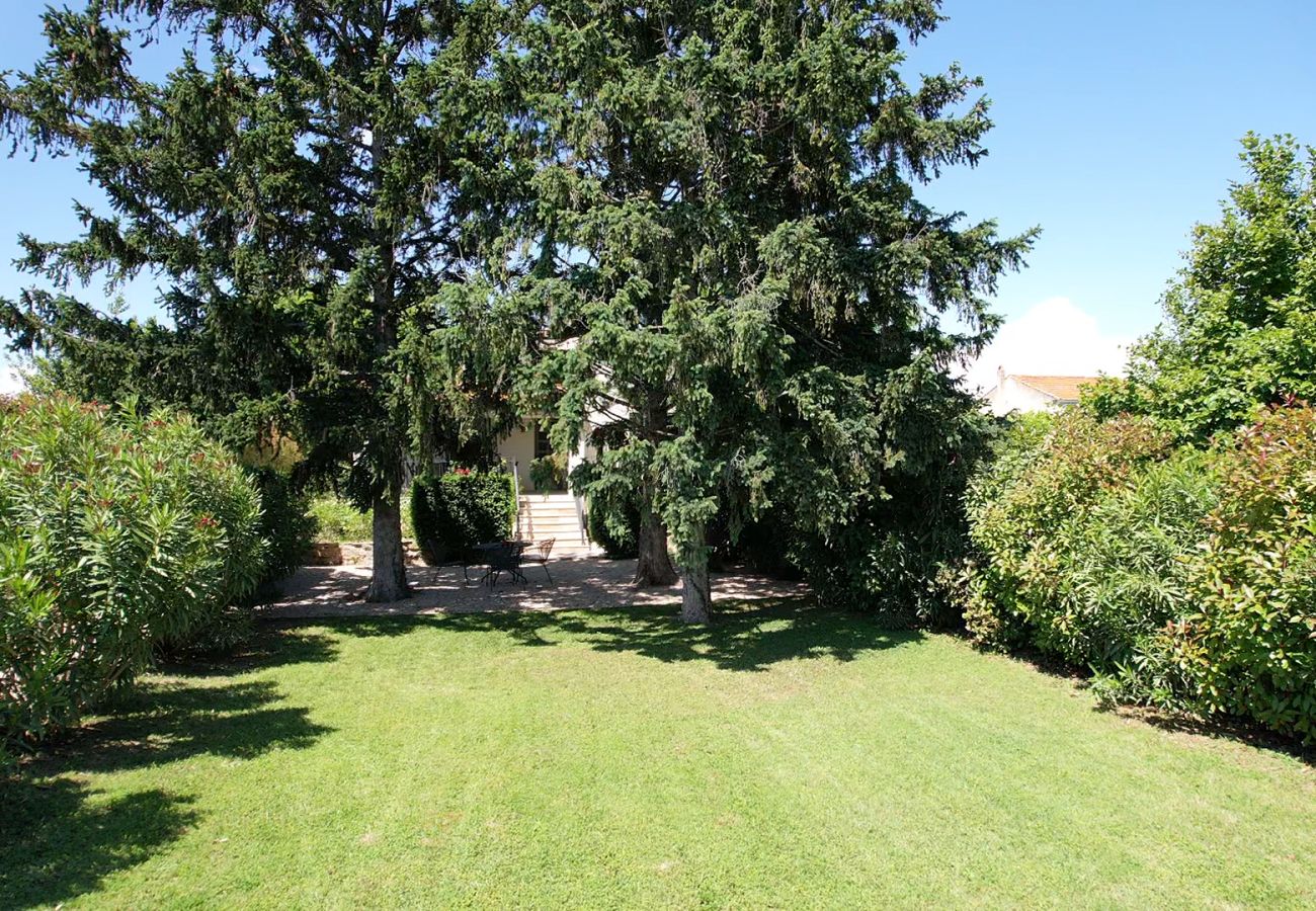 Villa in Arles - Vacation rental house with pool MOULES LS3-388