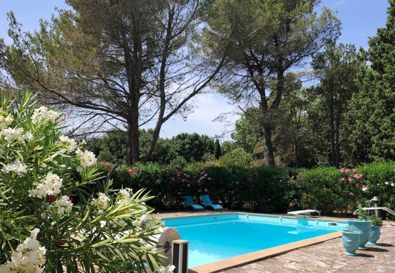 Villa in Saint Remy de Provence - Vacation rental SAINT REMY DE PROVENCE LS1-412