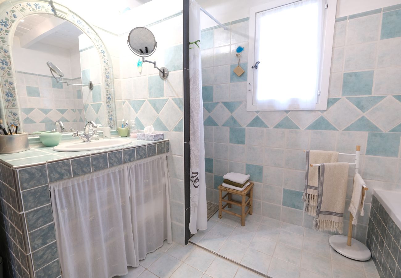 Holiday rental L'ISLE-SUR-LA-SORGUE villa for rent 1 bathroom