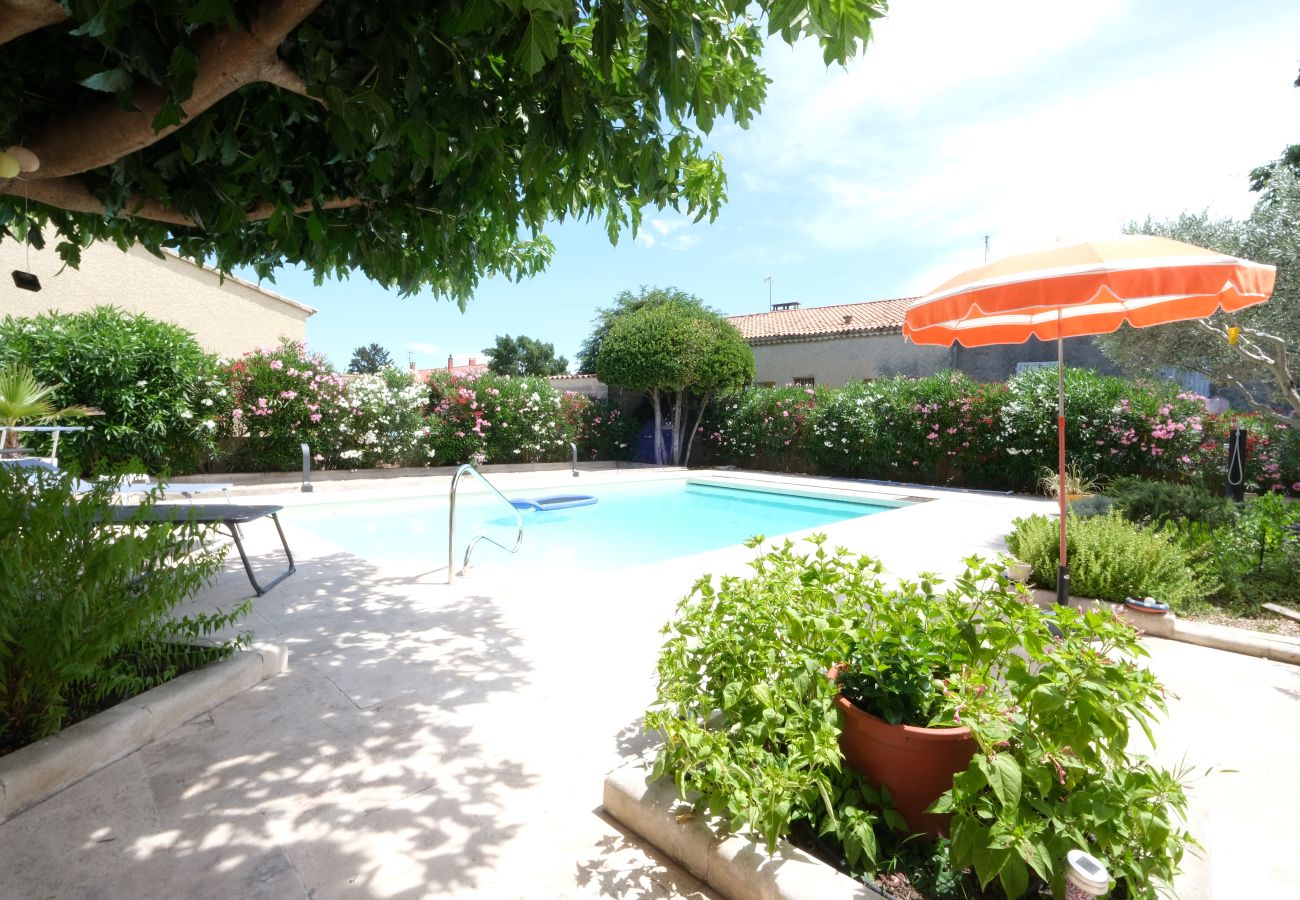 House in Arles - Vacation rental house with pool MOULES LS3-424