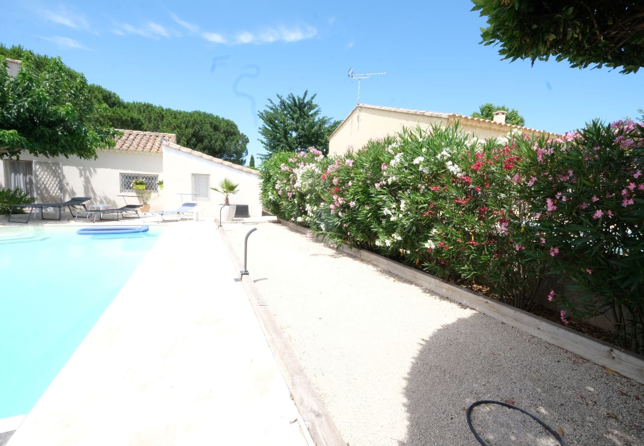 House in Arles - Vacation rental house with pool MOULES LS3-424