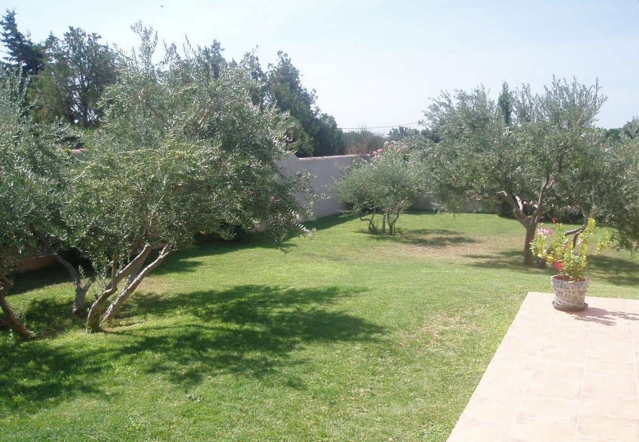 Villa in Aureille - Vacation rental house with pool AUREILLE LS1-439