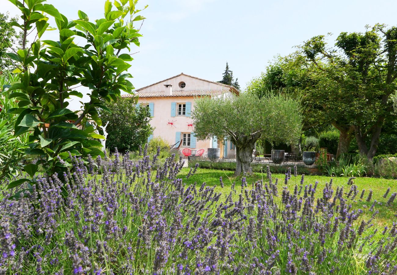 Villa in Cavaillon - Vacation rental farm with pool LES VIGNERES LS2-17