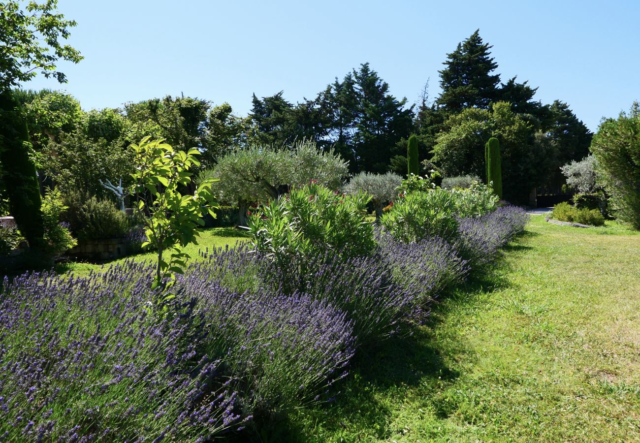 Villa in Cavaillon - Vacation rental farm with pool LES VIGNERES LS2-17