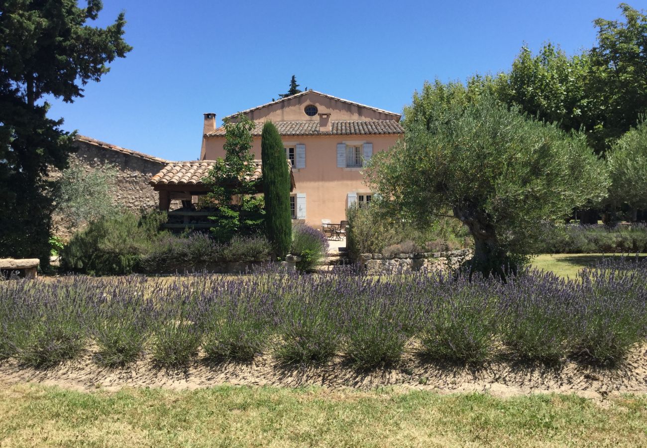 Villa in Cavaillon - Vacation rental farm with pool LES VIGNERES LS2-17