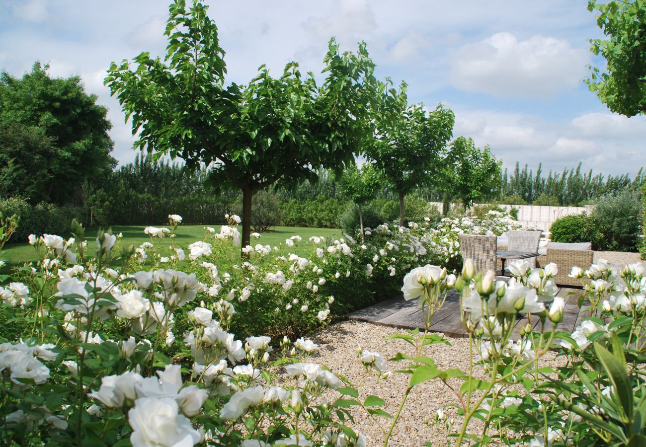 Villa in Maussane-les-Alpilles - Holiday rental with pool MAUSSANE LS1-226