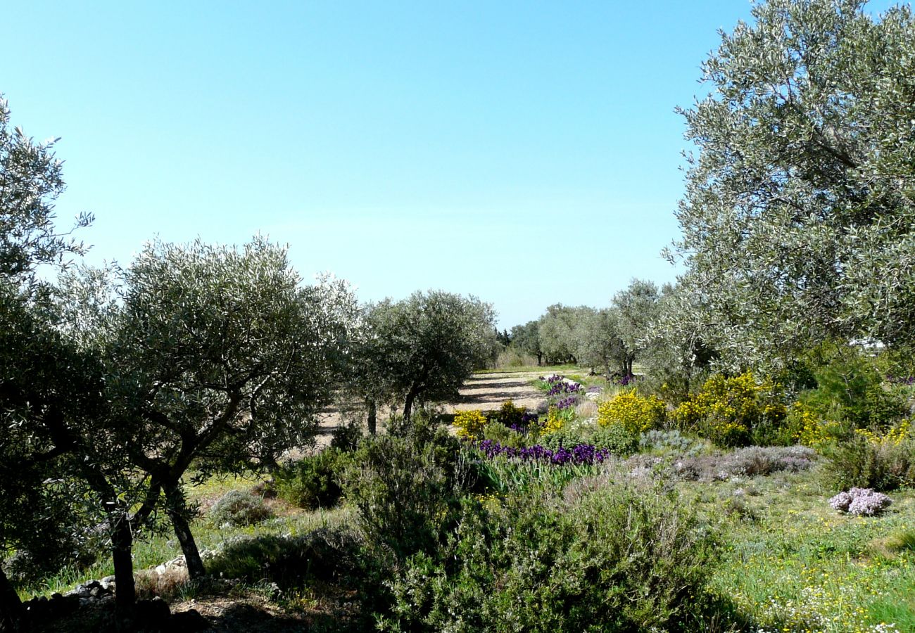 Villa à Mouriès - Location vacances maison piscine MOURIES LS1-174