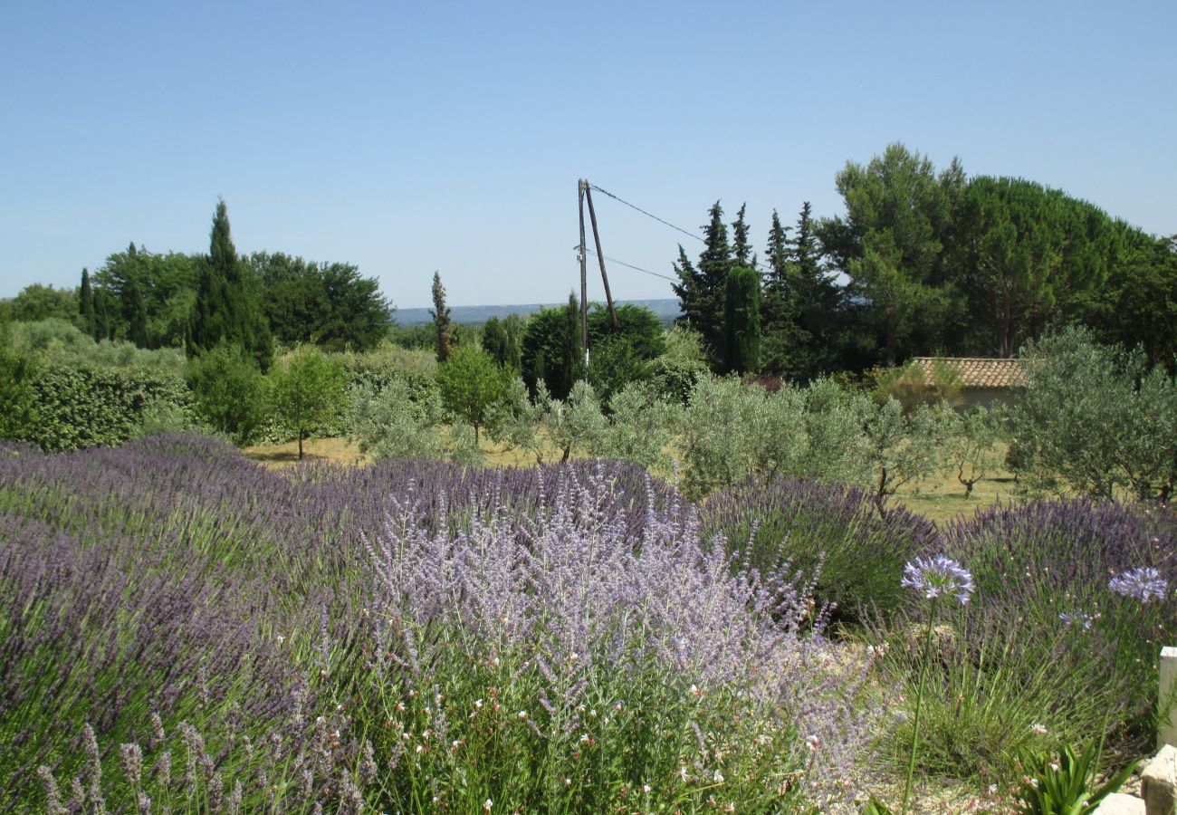 Villa à Saint Remy de Provence - Location vacances SAINT REMY DE PROVENCE LS1-196