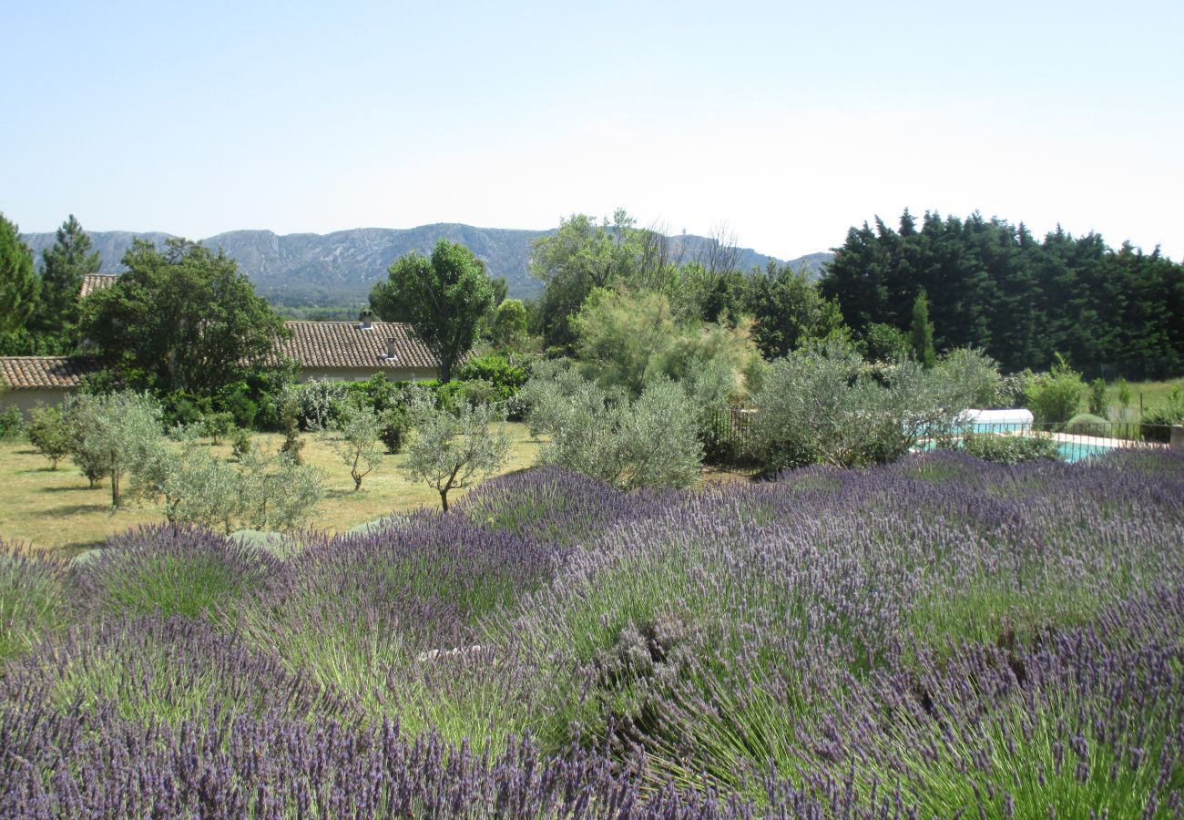 Villa à Saint Remy de Provence - Location vacances SAINT REMY DE PROVENCE LS1-196