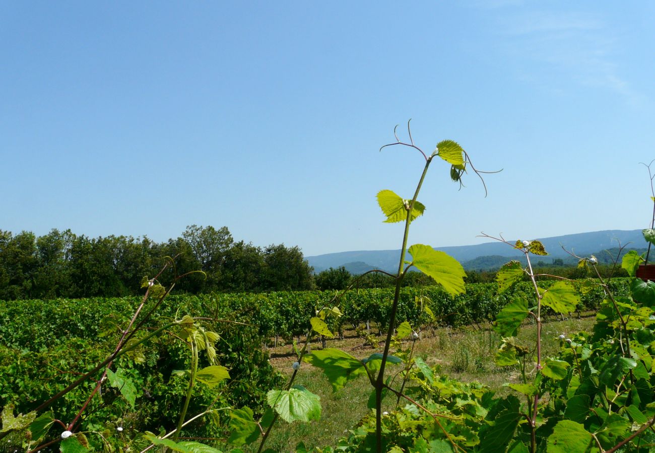 Ferme à Gordes - Location vacances maison piscine GORDES LS2-107 