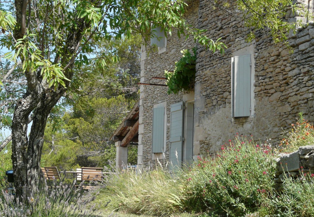 Ferme à Lacoste - Location vacances maison piscine LACOSTE LS2-239