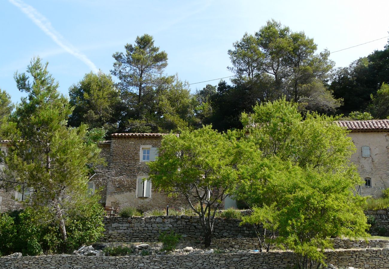 Ferme à Lacoste - Location vacances maison piscine LACOSTE LS2-239