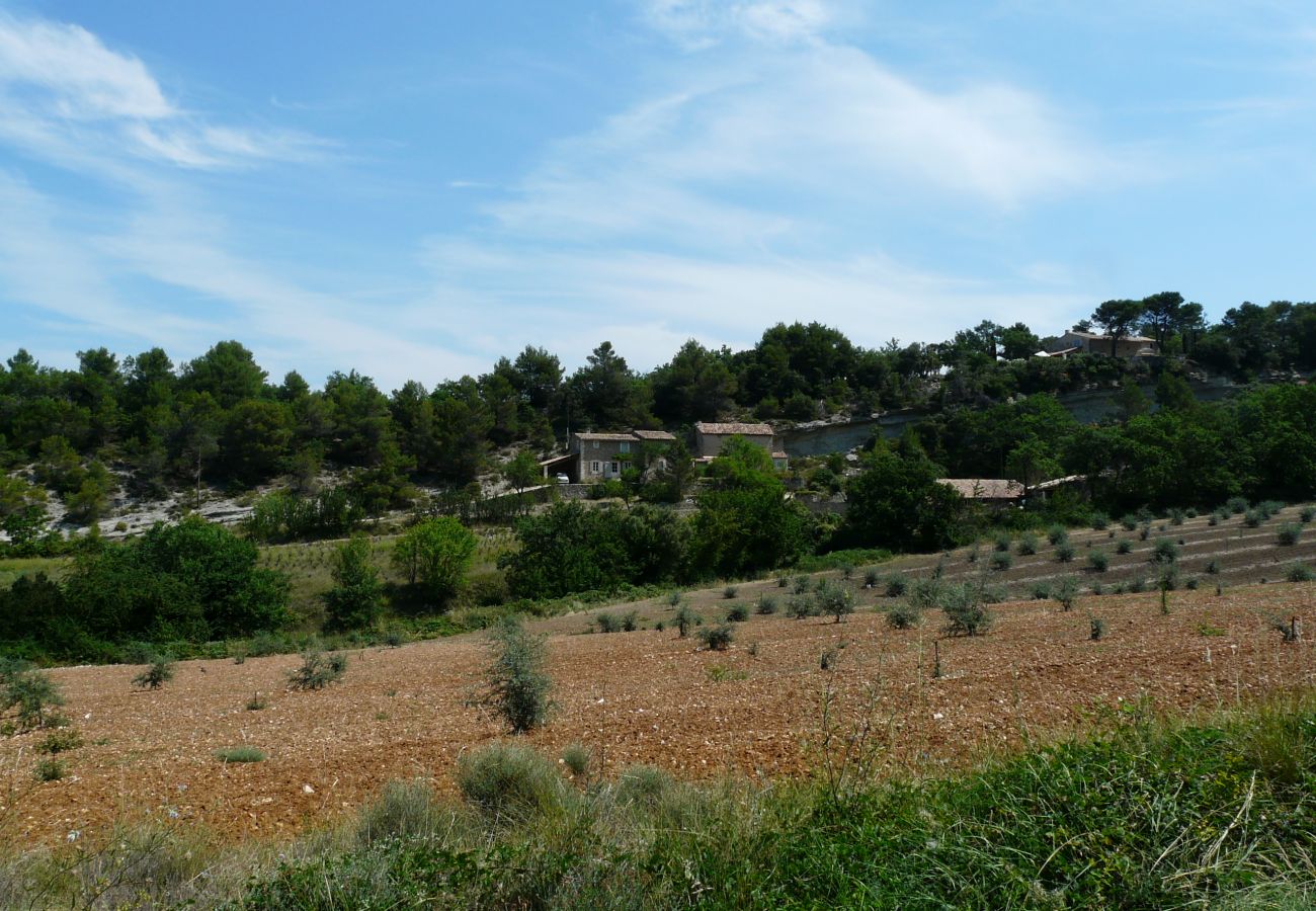 Ferme à Lacoste - Location vacances maison piscine LACOSTE LS2-239