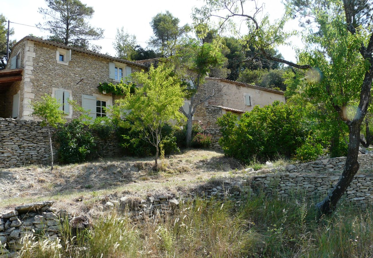 Ferme à Lacoste - Location vacances maison piscine LACOSTE LS2-239