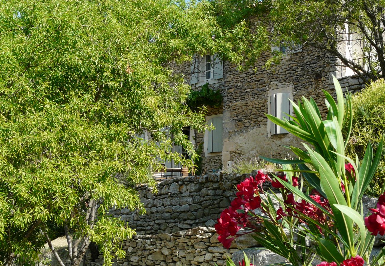 Ferme à Lacoste - Location vacances maison piscine LACOSTE LS2-239