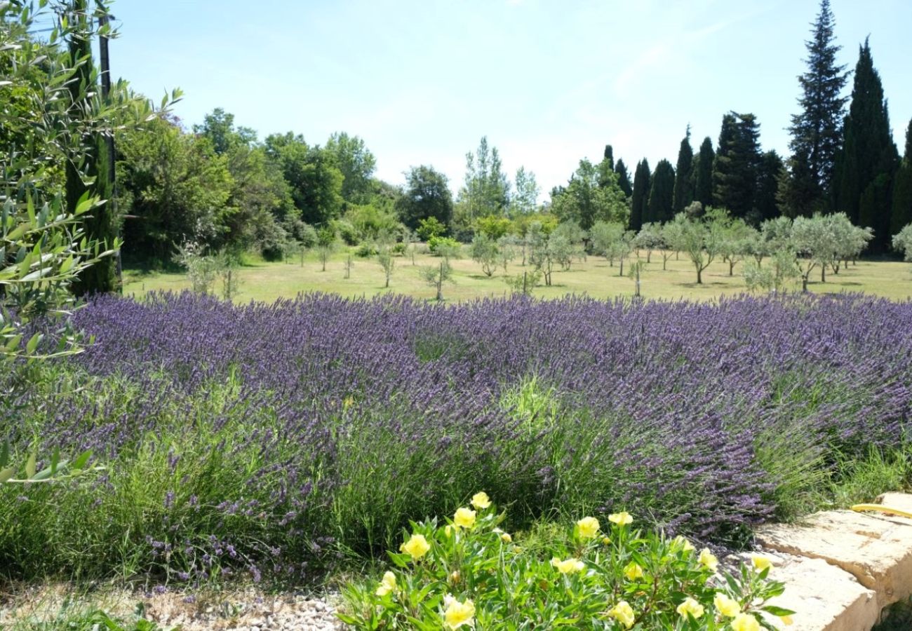 Ferme à Salon-de-Provence - Location vacances  luxe SALON DE PROVENCE LS7-351