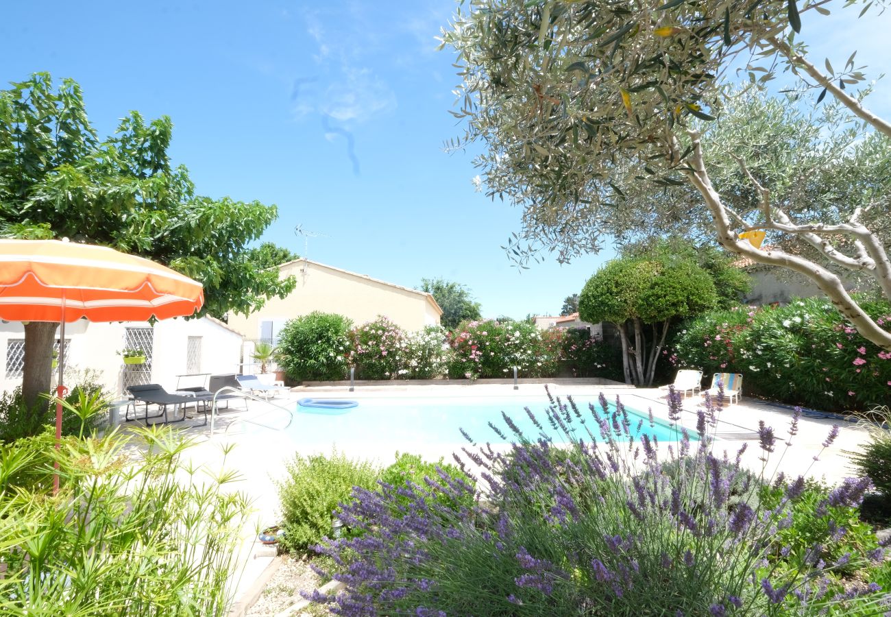 Maison à Arles - Location vacances maison piscine MOULES LS3-424