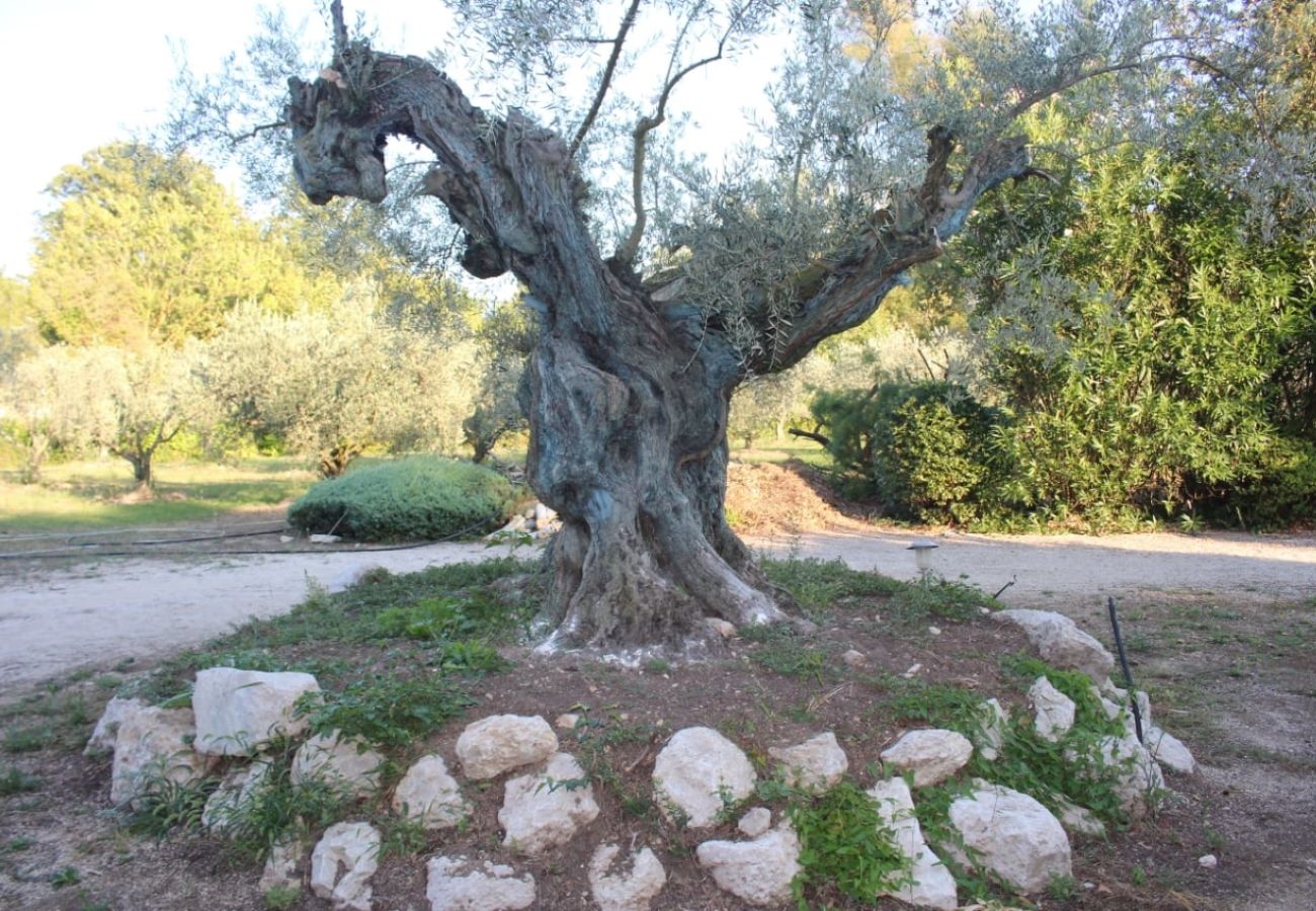 Domaine à Mouriès - Location vacances maison piscine MOURIES LS1-394