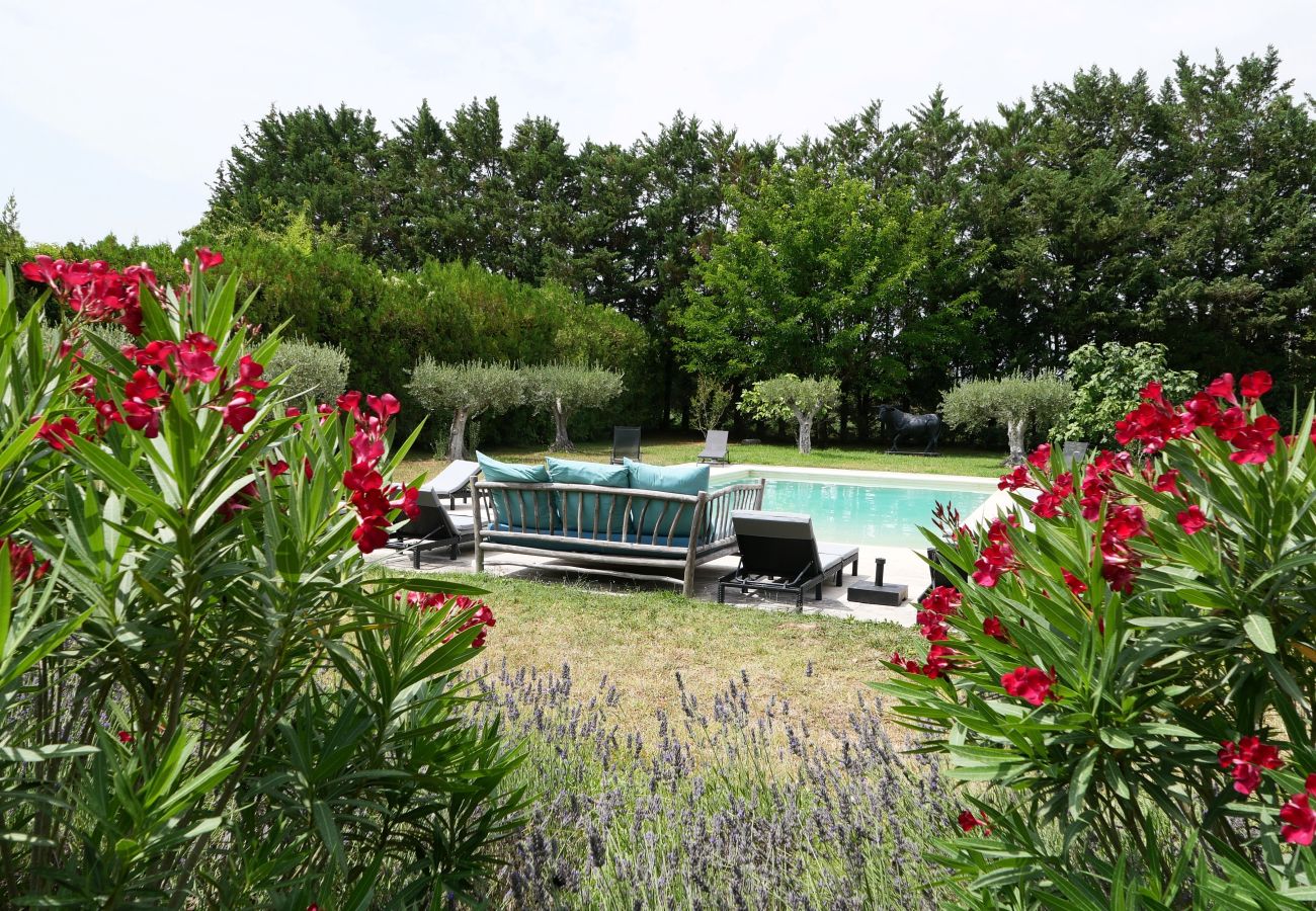 Ferme à Cavaillon - Location vacances mas piscine LES VIGNERES LS2-17