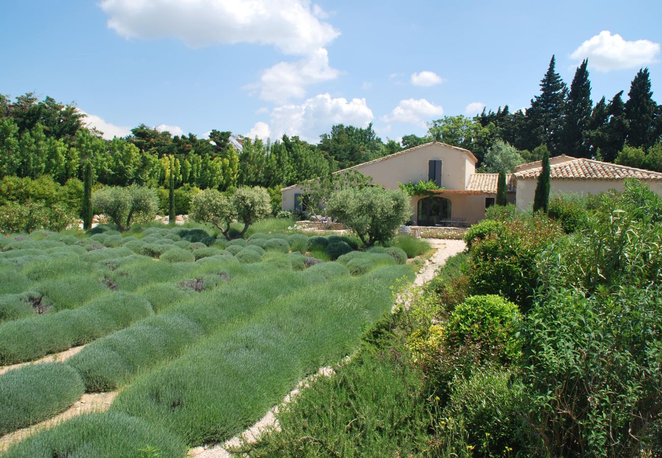 Villa à Maussane-les-Alpilles - Location vacances piscine MAUSSANE LS1-226