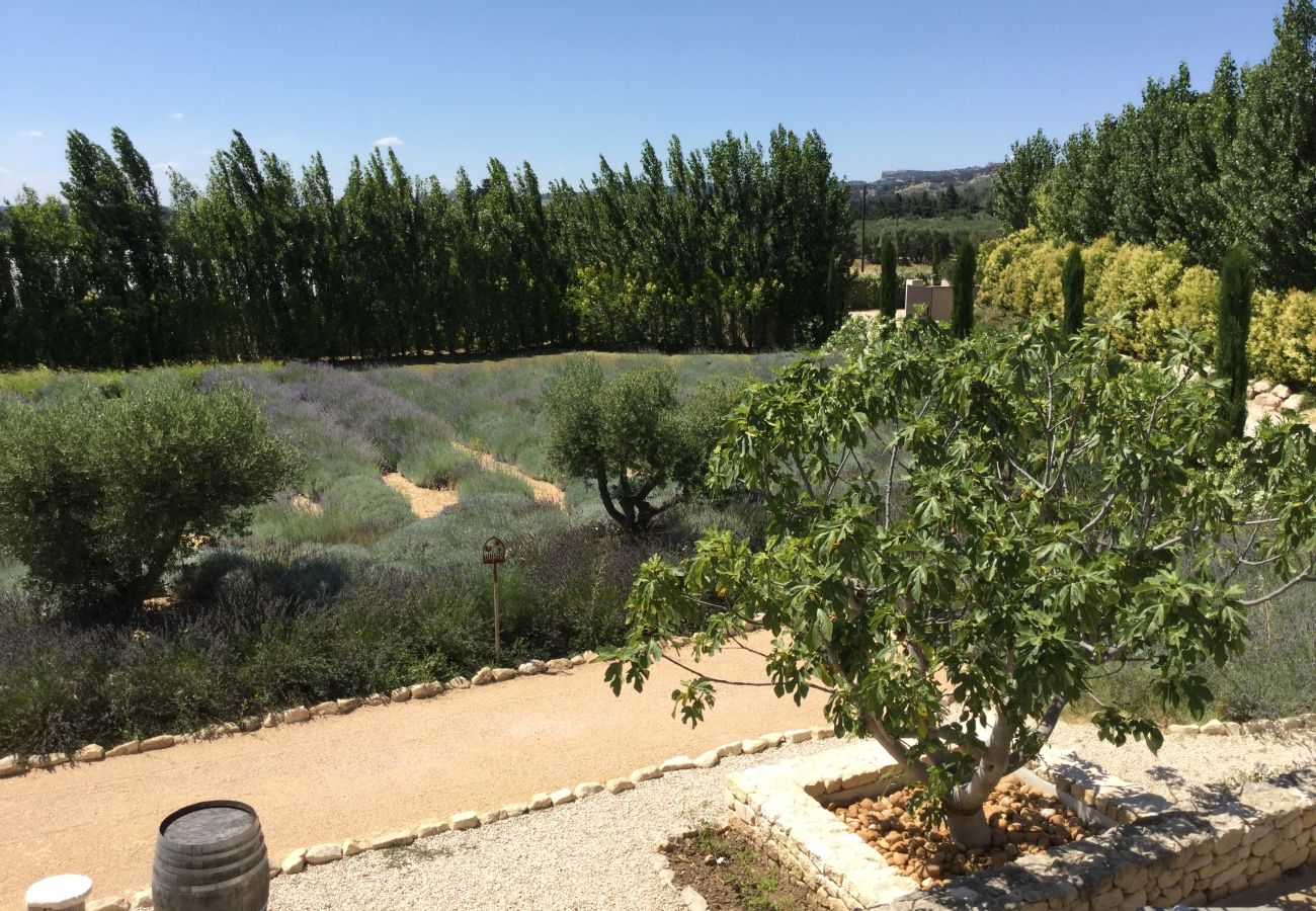 Villa à Maussane-les-Alpilles - Location vacances piscine MAUSSANE LS1-226